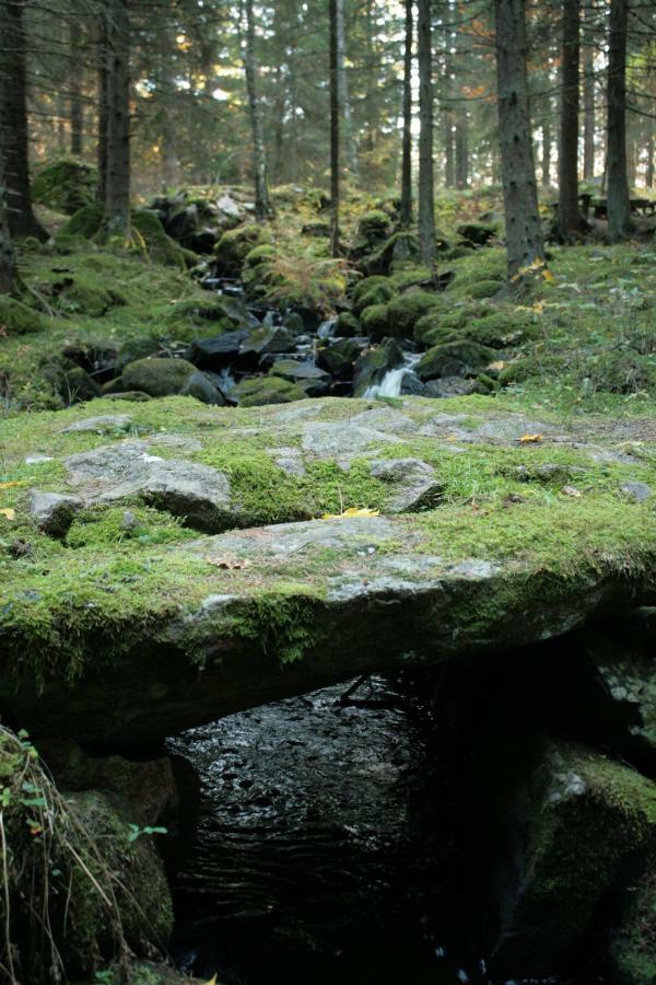 Draengstugan I Humla Blidsberg Ngoại thất bức ảnh